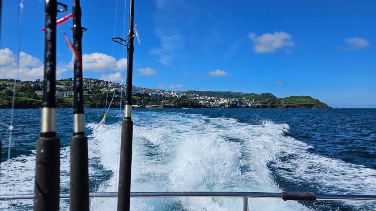 What Can You Catch on an Offshore Charter from North Devon This Season?