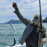 Wreck Fishing off North Devon: A Complete Guide to What, Where and How | Wild Frontier Charters