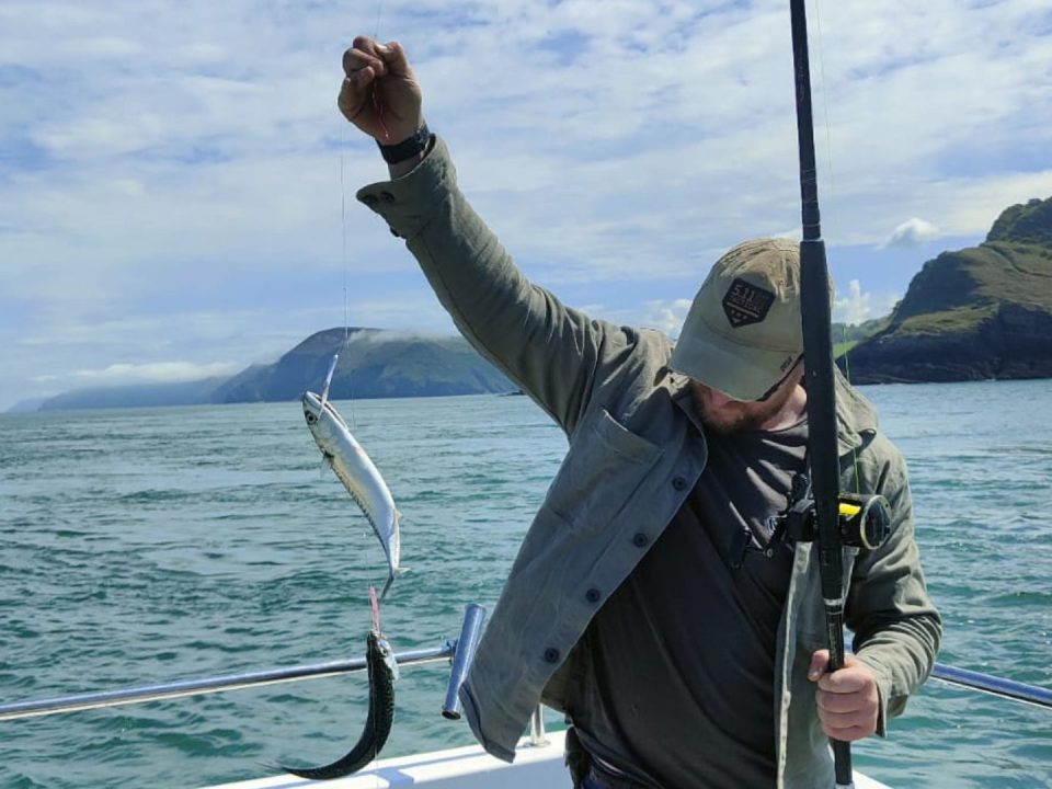 Wreck Fishing off North Devon: A Complete Guide to What, Where and How | Wild Frontier Charters