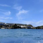 blue shark fishing North Devon