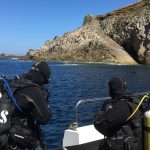 Lundy Island diving